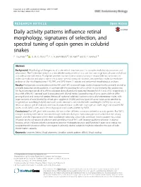 Daily Activity Patterns Influence Retinal Morphology, Signatures of Selection, and Spectral Tuning of Opsin Genes in Colubrid Snakes E