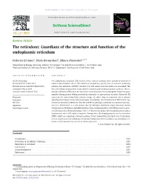 Guardians of the Structure and Function of the Endoplasmic Reticulum