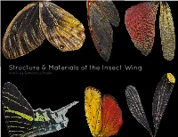 Structure & Materials of the Insect Wing