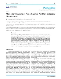 Theranostics Molecular Beacons of Xeno-Nucleic Acid for Detecting