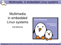 Multimedia in Embedded Linux Systems