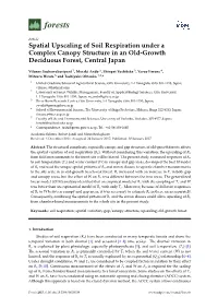 Spatial Upscaling of Soil Respiration Under a Complex Canopy Structure in an Old-Growth Deciduous Forest, Central Japan