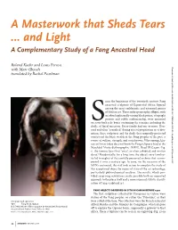A Masterwork That Sheds Tears … and Light a Complementary Study of a Fang Ancestral Head