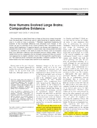 How Humans Evolved Large Brains: Comparative Evidence