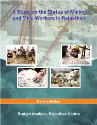Mining Study 13R.Cdr Final.Cdr