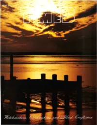1991-06-Web.Pdf