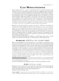 Class Monocotyledonae