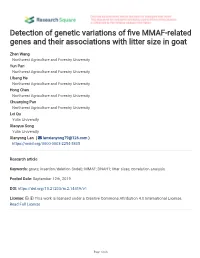 Detection of Genetic Variations of Five MMAF-Related Genes and Their