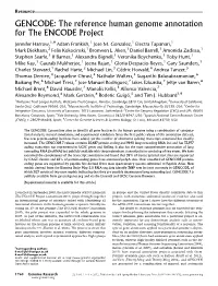 GENCODE: the Reference Human Genome Annotation for the ENCODE Project