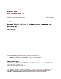 Looking Through the Trees: an Anthropologist, a Museum, and the Sasquatch