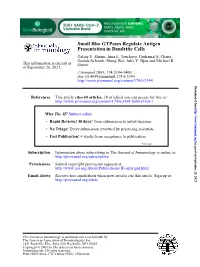 Presentation in Dendritic Cells Small Rho Gtpases Regulate Antigen