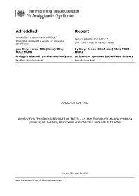 Adroddiad Report
