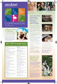 COMPANION MSPCA-Angell Them in a Basement Covered with Raw Sewage