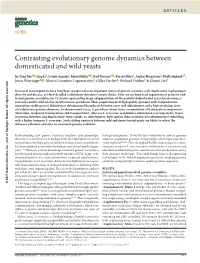 Contrasting Evolutionary Genome Dynamics Between Domesticated and Wild Yeasts