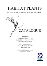 Jannuary 2009 Issue