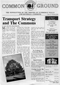Transport Strategy and the Commons
