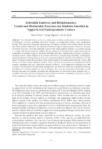 Zebrafish Embryos and Bioinformatics: Useful and Marketable Exercises for Students Enrolled in Upper-Level Undergraduate Courses
