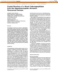 Crystal Structure of a Novel Carboxypeptidase from the Hyperthermophilic Archaeon Pyrococcus Furiosus