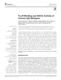 Fcγr Binding and ADCC Activity of Human Igg Allotypes
