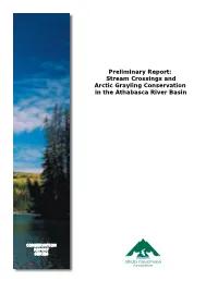 Preliminary Report: Stream Crossings and Arctic Grayling Conservation in the Athabasca River Basin
