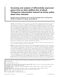 Screening and Analysis of Differentially Expressed Genes from an Alien Addition Line of Wheat Thinopyrum Intermedium Induced by Barley Yellow Dwarf Virus Infection