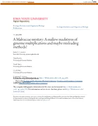 A Mallow Maelstrom of Genome Multiplications and Maybe Misleading Methods? Justin L