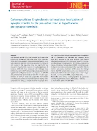 Carboxypeptidase E Cytoplasmic Tail Mediates Localization of Synaptic