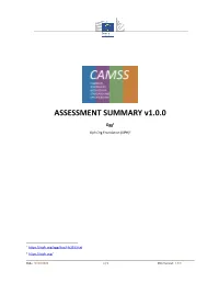ASSESSMENT SUMMARY V1.0.0