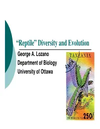 Reptile” Diversity and Evolution George A