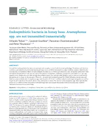 Endosymbiotic Bacteria in Honey Bees: Arsenophonus Spp. Are Not Transmitted Transovarially