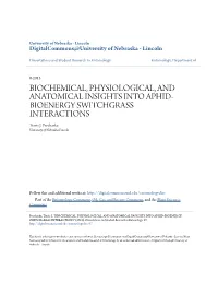 BIOCHEMICAL, PHYSIOLOGICAL, and ANATOMICAL INSIGHTS INTO APHID- BIOENERGY SWITCHGRASS INTERACTIONS Travis J