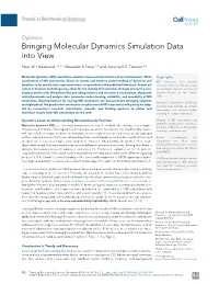 Bringing Molecular Dynamics Simulation Data Into View