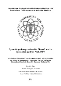 Synaptic Pathways Related to Shank3 and Its Interaction Partner Prosapip1