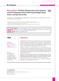 The Effect of Rosmarinic Acid on Apoptosis and Nnos Immunoreactivity Following Intrahippocampal Kainic Acid Injections in Rats