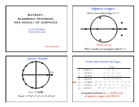 Entropy, Algebraic Integers, and Moduli of Surfaces