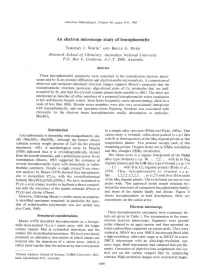 An Electron Microscope Study of Leucophoenicite