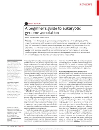 A Beginner's Guide to Eukaryotic Genome Annotation