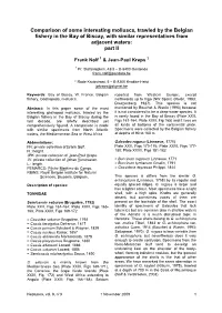 Comparison of Some Interesting Molluscs, Trawled by the Belgian Fishery in the Bay of Biscay, with Similar Representatives from Adjacent Waters: Part II