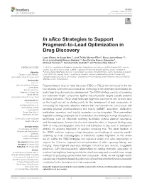 In Silico Strategies to Support Fragment-To-Lead Optimization in Drug Discovery