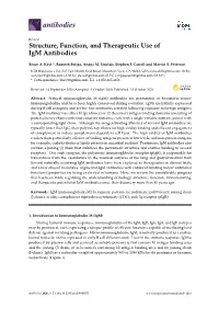 Structure, Function, and Therapeutic Use of Igm Antibodies