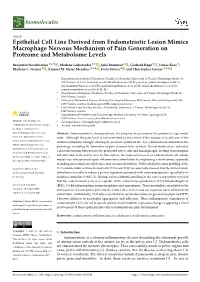 Epithelial Cell Line Derived from Endometriotic Lesion Mimics Macrophage Nervous Mechanism of Pain Generation on Proteome and Metabolome Levels