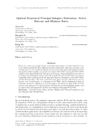 Metric Entropy and Minimax Rates