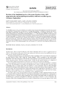 Revision of the Sundaland Species of the Genus Dysphaea Selys, 1853 Using Molecular and Morphological Methods, with Notes on Allied Species (Odonata: Euphaeidae)