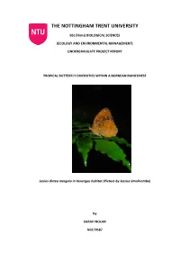 Variations in Butterfly Diversity in Relation to Habitat Type And