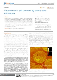 Visualization of Cell Structure by Atomic Force Microscopy