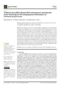 Artificial Microrna-Based RNA Interference and Specific Gene