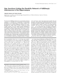 Gap Junctions Linking the Dendritic Network of Gabaergic Interneurons in the Hippocampus