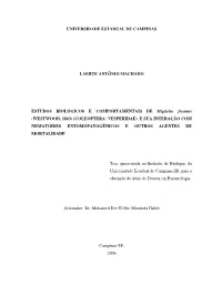 Machado Laerteantonio D.Pdf