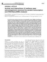 Activity and Interactions of Methane Seep Microorganisms Assessed by Parallel Transcription and FISH-Nanosims Analyses