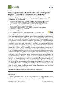 Cracking in Sweet Cherry Cultivars Early Bigi and Lapins: Correlation with Quality Attributes